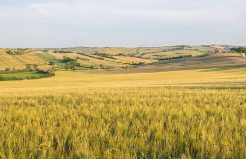 Agri Divin Amore - Foto 30