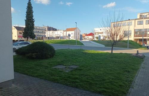 Apartman ZEN - Foto 33