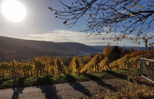 Gästezimmer-Apartment Heidi Hönl - Foto 15