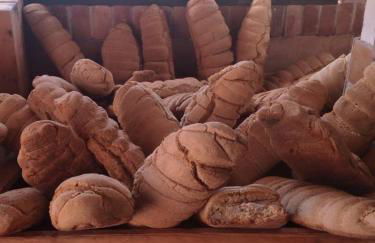 Agriturismo solare - Foto 18