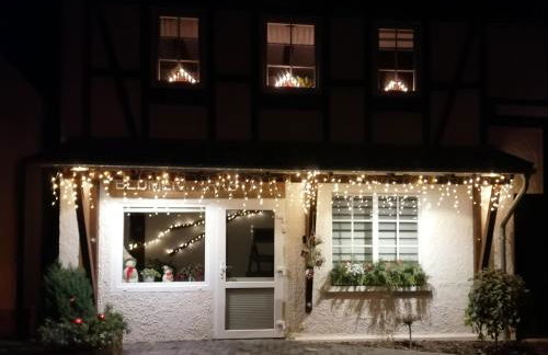 Blumenwerkstatt mit Sauna und Jacuzzi - Foto 21