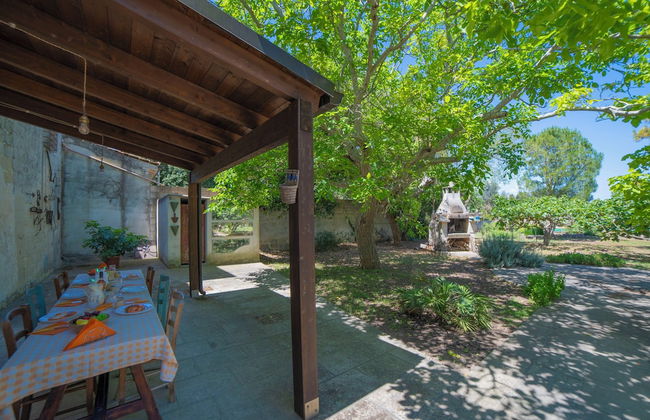 Masseria Le Palmentelle Pool And Garden - Photo 38