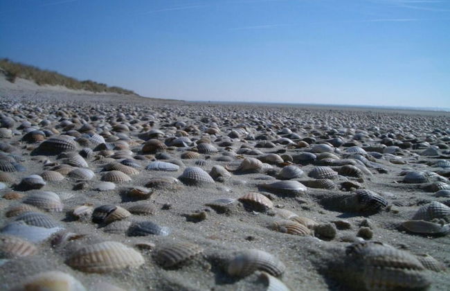 Klabautermann Maywald - Foto 16