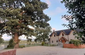 Oaktree Manor - BBQ, games rooms and pet friendly - Photo 1