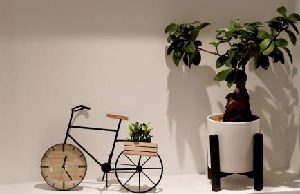 Luxuriöse Stadtvilla im Hansaviertel - Foto 11