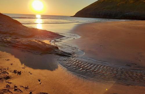 Cosy Cottage overlooking the Teifi Gorge - Foto 21