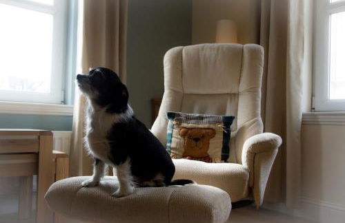 Marina View Apartment - Photo 12