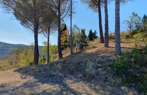 Le Gîte Sambacacia - Foto 29