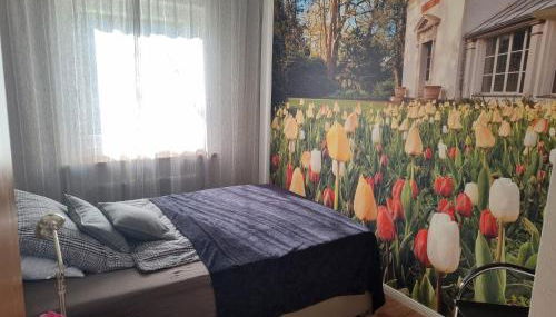 Stadtnahe Wohnung mit kl.Balkon und Parkplatz - Photo 5