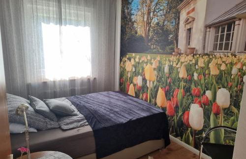 Stadtnahe Wohnung mit kl.Balkon und Parkplatz - Photo 5