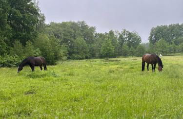 Carpe Deimern in der Lüneburger Heide - Foto 21