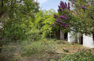 Traumhaft schöne Unterkunft am Elbe Radweg, See - Foto 22