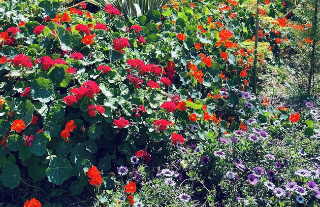 Phaedra House For Relaxing Holidays Near Platanias - Photo 40