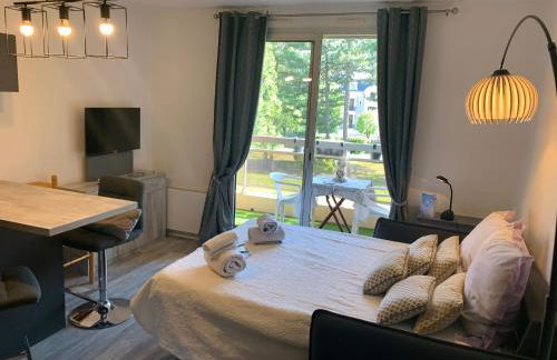 Studio les mélèzes vue montagne Barcelonnette - Foto 5