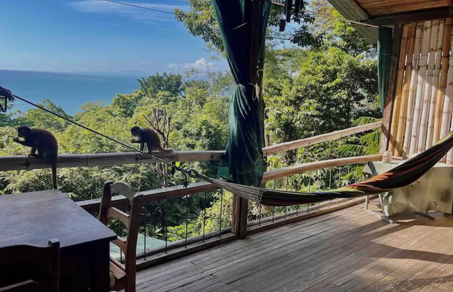 Iwa Żaru panoramic sea view property - Foto 14