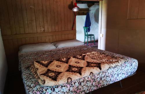 Pinnettu sardo casa di campagna in ecosistema insetti e animaletti simpatici in condivisione,Leggere attentamente Prima di prenotare - Foto 27