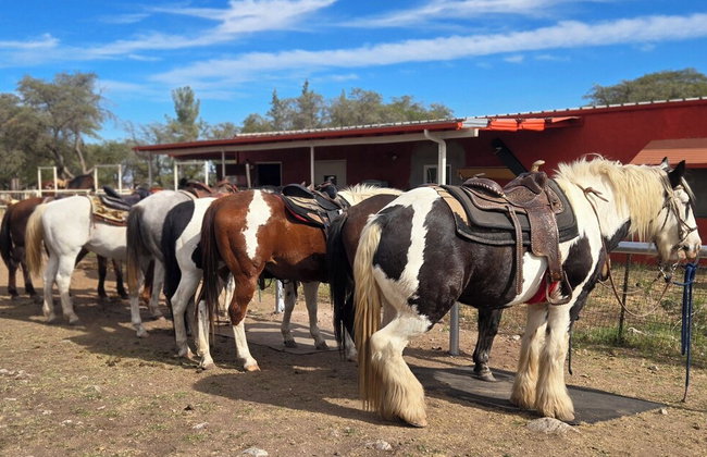 Double R Guest Ranch - Foto 26