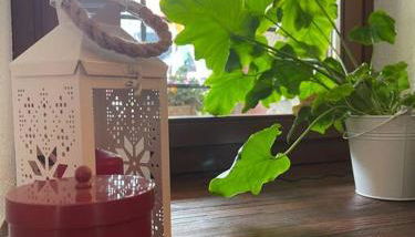 La Bombetta Gialla di Elisa e Marco - Foto 4