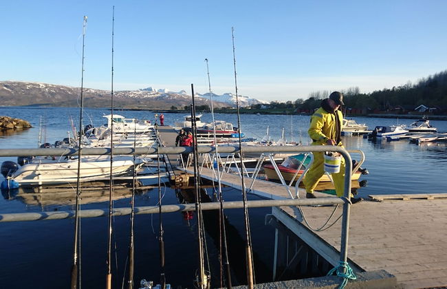 Arctic Seasport - Foto 69