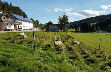 Ferienwohnung am Schneeberg - Foto 61