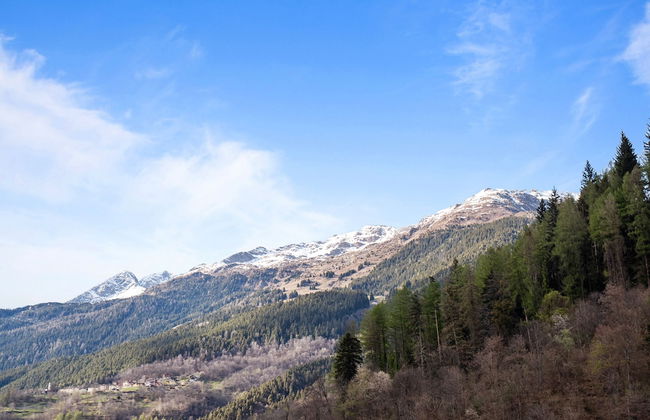 Casa Cattaneo - Photo 24