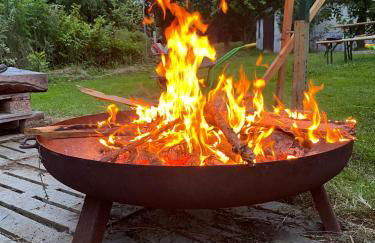 Ferienhof Morich - Urlaub auf dem Bauernhof im Harz - Foto 31