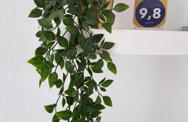 Casa del Castillo by Naturadrada - Foto 20