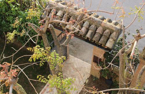 Daphne Experience - Home, Harmony and Garden - Foto 66