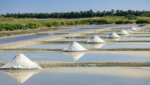 Le Parc des Mimosas - Foto 4