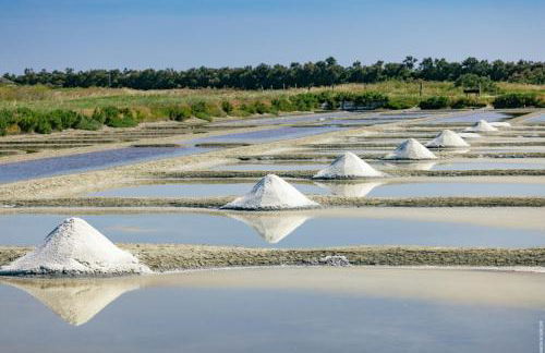 Le Parc des Mimosas - Foto 4