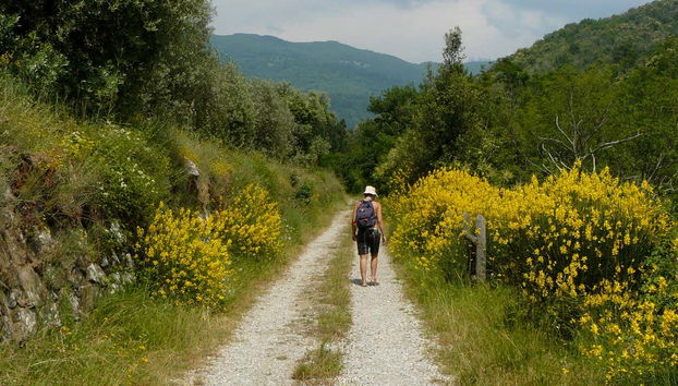 Tour in Castelfranco Piandiscò - Foto 2
