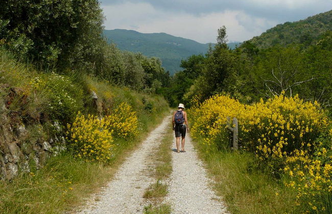 Tour in Castelfranco Piandiscò - Foto 2