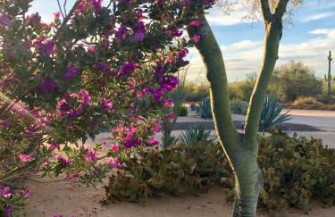 Private, Quite Casita , N. Scottsdale area,Private Pool & Patio, Cave Creek Az. - Photo 44