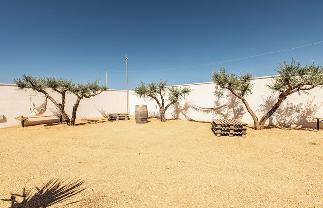 Casale Gorghi Tondi House E Vinyard - Photo 66