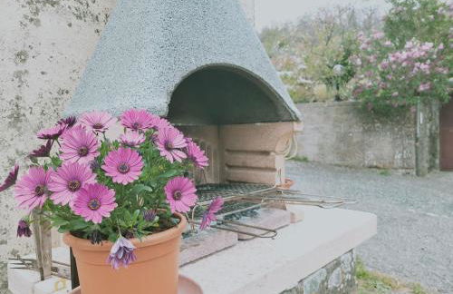 I Castagnini - Foto 9