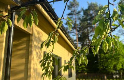 Aparthouse Siemiany - Foto 2