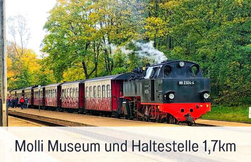 2 Zimmer App Dünengarten Lieblingsplatz Wg11 - Photo 29