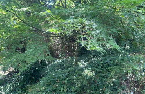 Casa Rural Pirineu Nevà - Foto 72