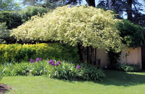 Les Deux Cèdres - Foto 16