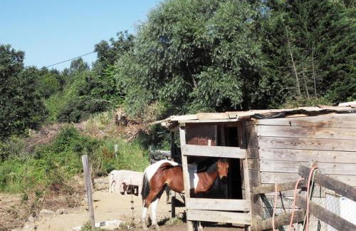 Le Mas de la Grenouillère - Foto 40