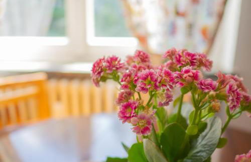 Lovely Flat in Morgex - Photo 6