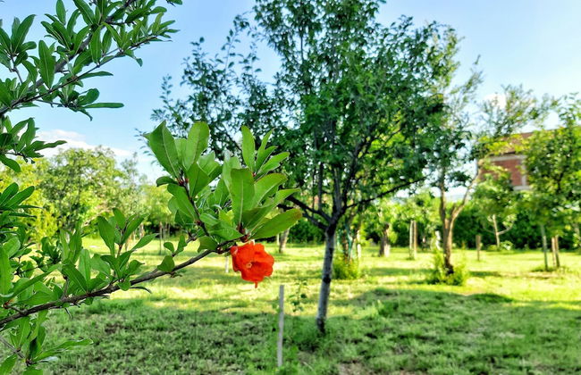 Villa Mimoza Blagaj - Foto 32