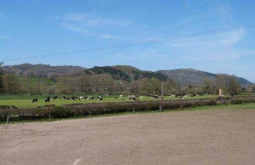 1 Bed in Welshpool oc-75714 - Foto 17