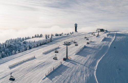 Schwarzwaldglück - Foto 30