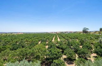 Apartamentos Flor da Laranja, Albufeira by AlgarveBlossom - Foto 52