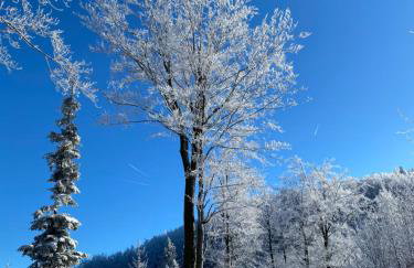 Żaroowka Slow House - Foto 37