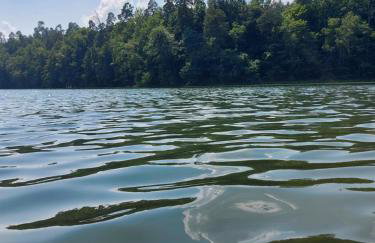 Apartament Stary Tartak - Foto 39