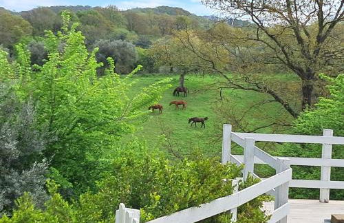 Bed & Breakfast Parco di Veio - Foto 15