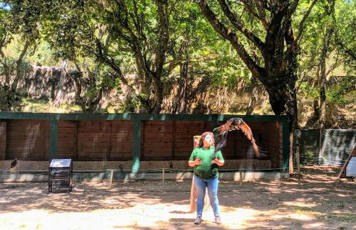 Vila Mafra - Grill Terrace - Foto 39