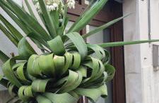 La Maison de Lucietta - Foto 12